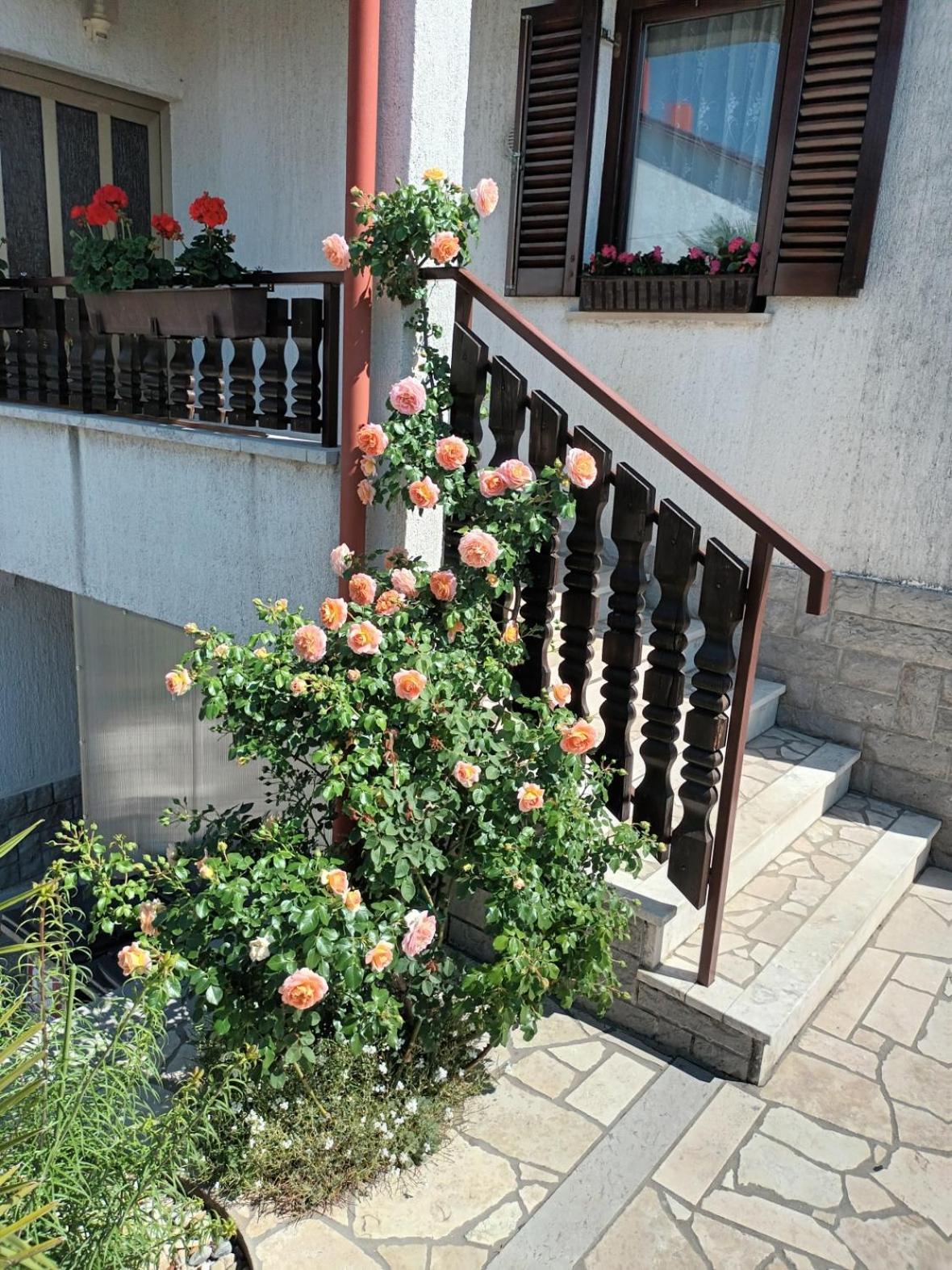 Apartments Peric Opatija Exterior photo
